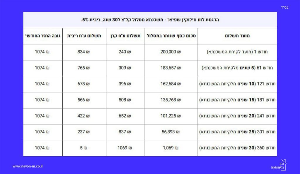 לוח סילוקין שפיצר, מה זה לוח סילוקין שפיצר, מה זה שפיצר במשכנתא, החזר משכנתא בשיטת שפיצר, הדגמה לוח סילוקין שפיצר ל30 שנה